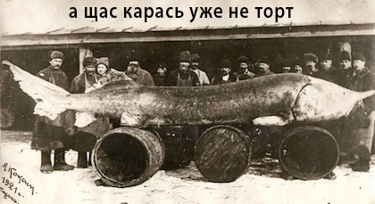пескарь.jpg
